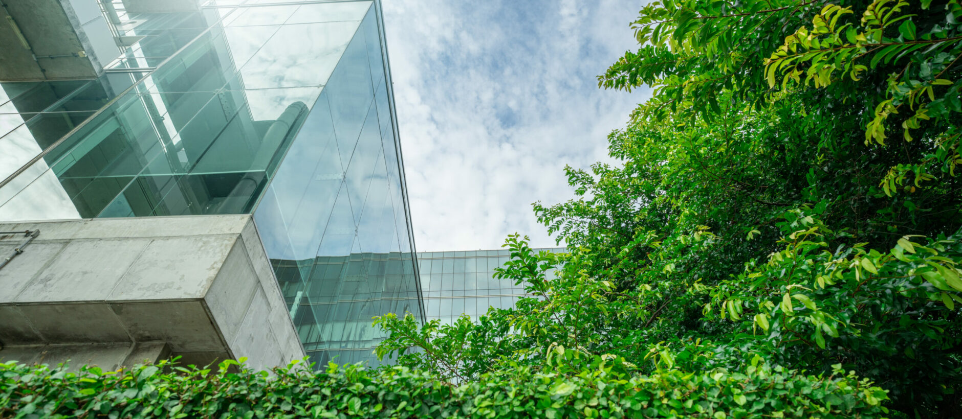 Sustainble green building. Eco-friendly building in modern city. Sustainable glass office building with tree for reducing carbon dioxide. Office with green environment. Corporate building reduce CO2.